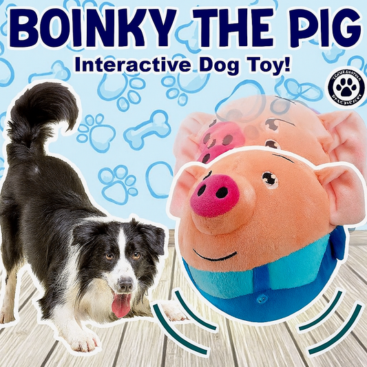 Boinky The Pig