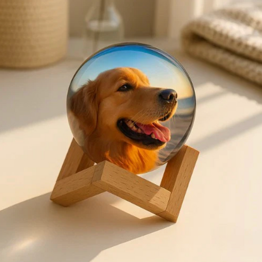 Viral Memory Ball