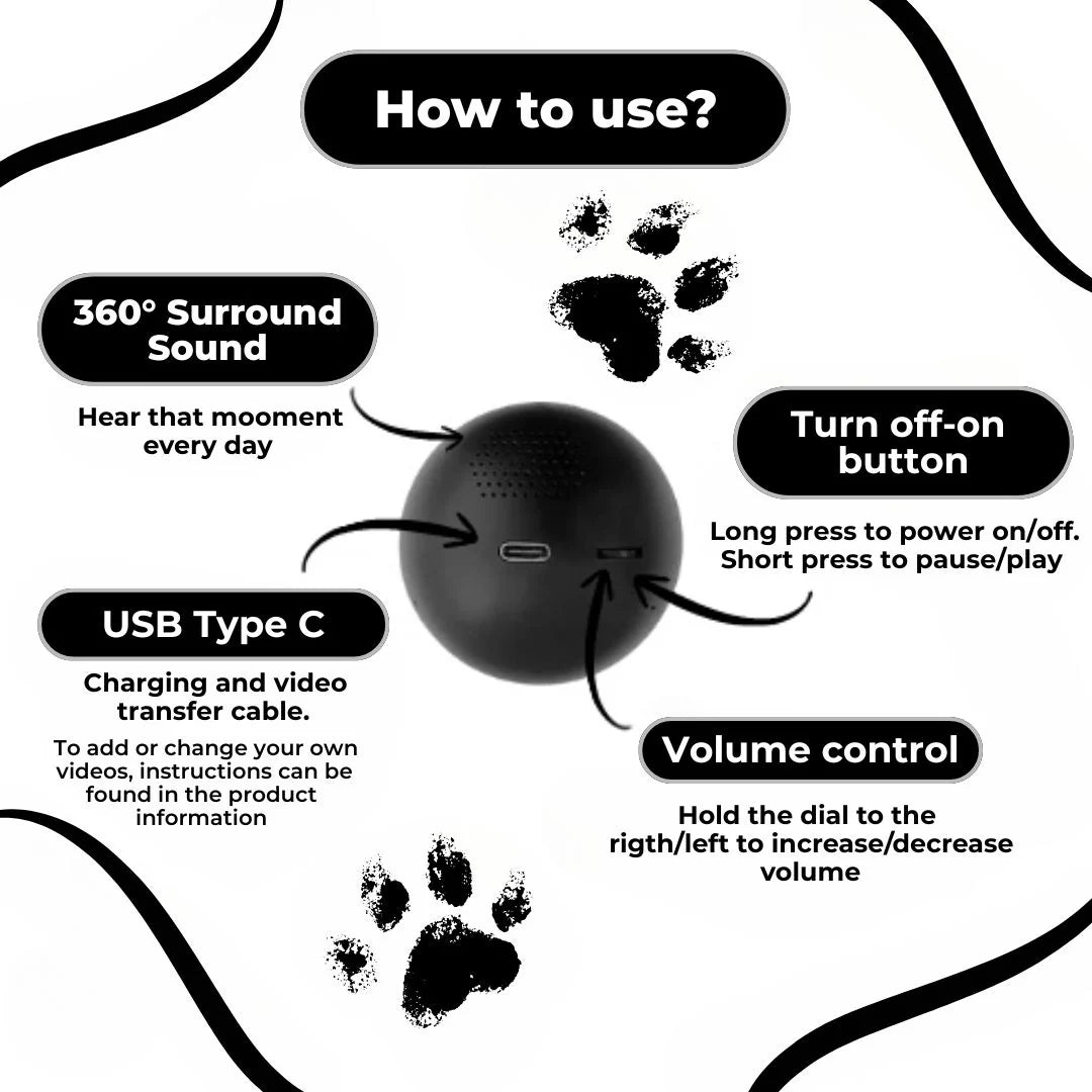 Viral Memory Ball